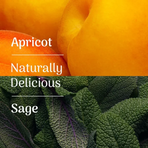 Veloforte Fruit Electrolyte Powder - Image 6